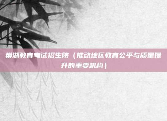 巢湖教育考试招生院（推动地区教育公平与质量提升的重要机构）