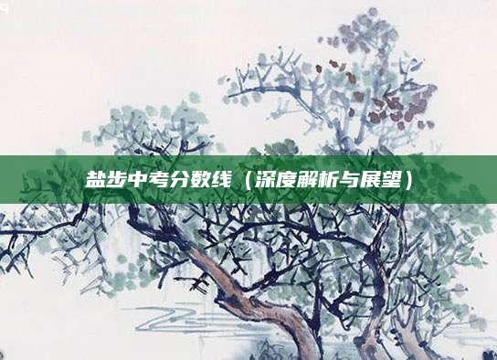 盐步中考分数线（深度解析与展望）