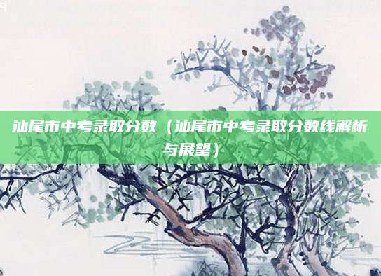 汕尾市中考录取分数（汕尾市中考录取分数线解析与展望）