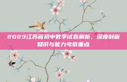 2023江苏省初中数学试卷解析，深度剖析知识与能力考察重点