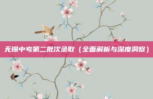 无锡中考第二批次录取（全面解析与深度洞察）