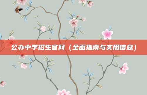 公办中学招生官网（全面指南与实用信息）