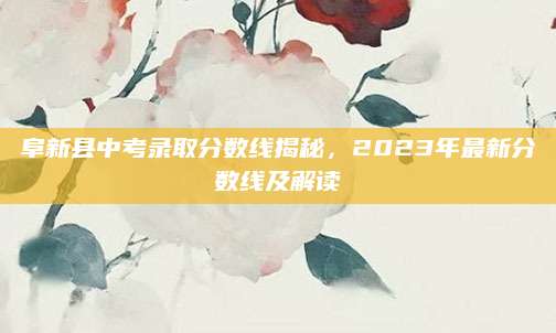 阜新县中考录取分数线揭秘，2023年最新分数线及解读