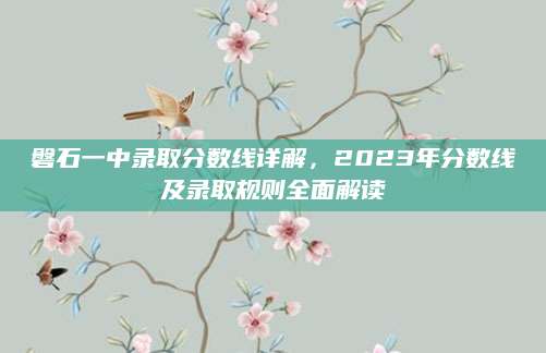 磐石一中录取分数线详解，2023年分数线及录取规则全面解读