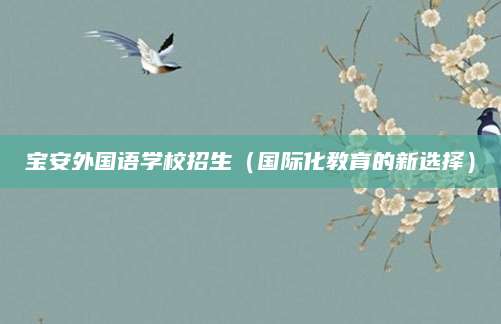 宝安外国语学校招生（国际化教育的新选择）