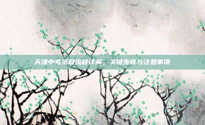 天津中考录取流程详解，关键步骤与注意事项