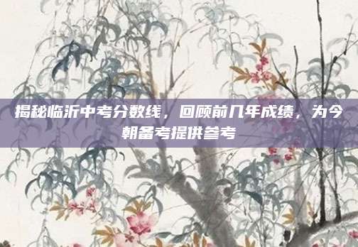 揭秘临沂中考分数线，回顾前几年成绩，为今朝备考提供参考