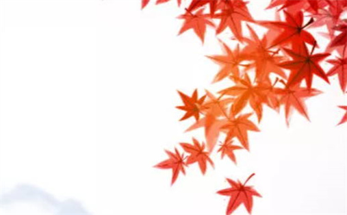 2024年10月18日是不是动土吉日 是动土建房好日子吗