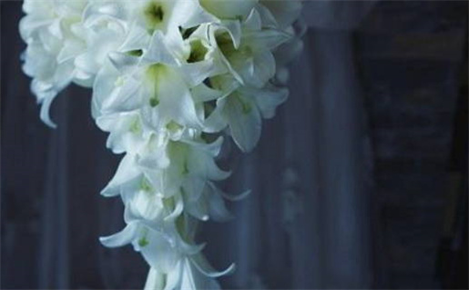 2025年农历二月十二是不是结婚吉日 今日办喜事好吗