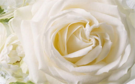 2026年农历二月廿三结婚黄道吉日 适不适合办喜事