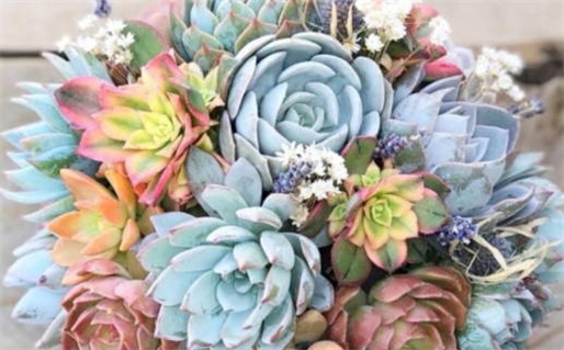 2024年农历冬月二十结婚吉日查询 适不适合办婚礼