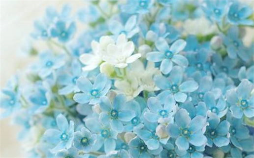 2026年农历二月初六结婚好不好 适不适合办喜事