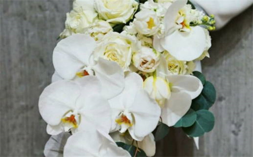 2025年06月06日结婚黄道吉日 今日办婚礼好不好