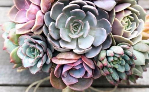 2025年农历九月初九领证好吗 今日领证好吗