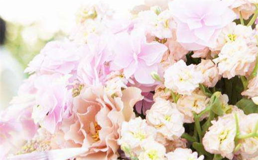 2025年12月23日是领证好日子吗 领证吉利吗