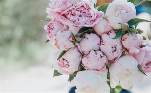 2025年11月14日领证吉日查询 今日领证结婚好不好