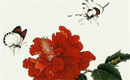 2025年07月09日是领证好日子吗 今日登记领证好吗