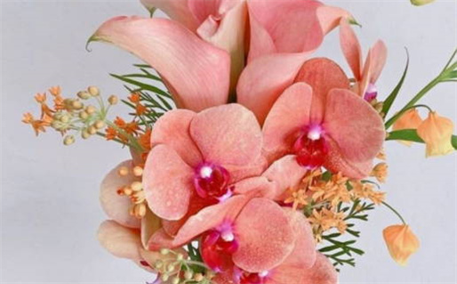 2025年05月02日领证日子如何 是登记领证好日子吗