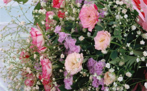 2024年09月22日领证日子如何 宜登记领证吉日查询