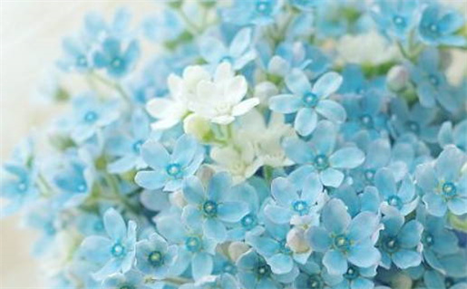 2024年农历八月廿二领证吉日查询 今日领证好不好