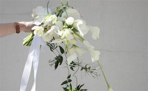 2026年农历冬月十八领证黄道吉日 是登记领证好日子吗