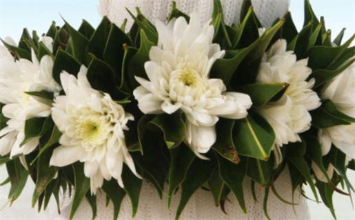 2025年12月02日领证黄道吉日 宜领证结婚吉日查询