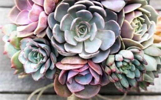 2024年农历十月初九是领证好日子吗 宜登记结婚吉日查询