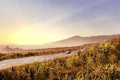 2026年01月29日是不是提车吉日 是提车买车好日子吗