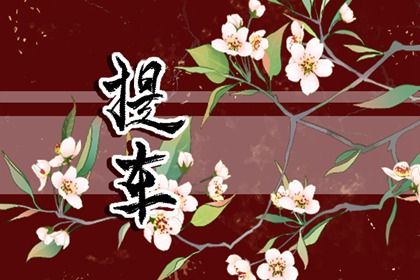 2025年12月06日提车好吗 是提车买车好日子吗