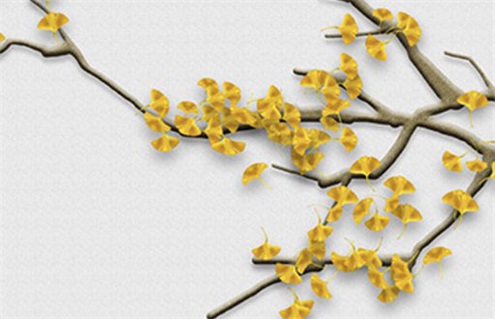 2025年农历九月廿五装修好吗 今日装修好不好