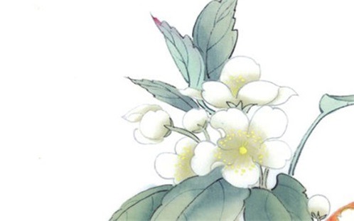 2025年02月17日装修黄道吉日 是装潢房子好日子吗